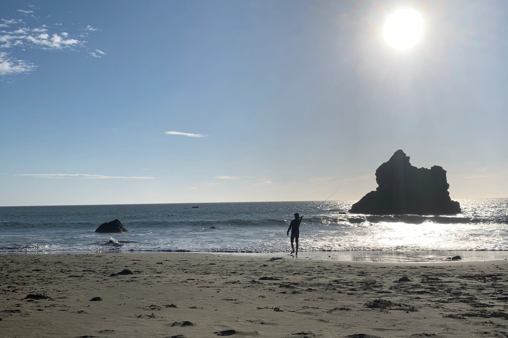 Bodega Bay Beach