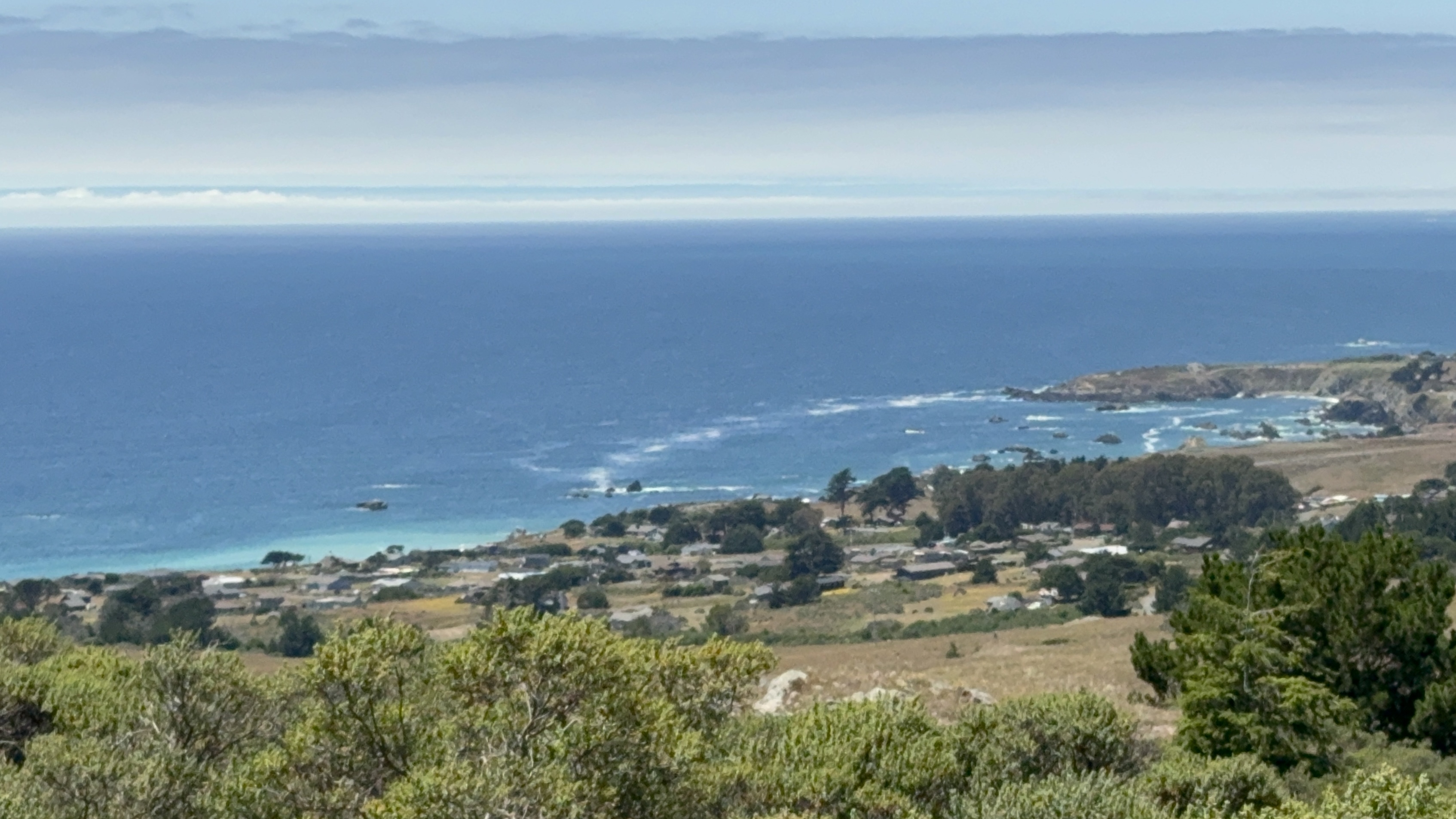 Grassy bluffs above the Pacific at Estero Americano Coast Preserve