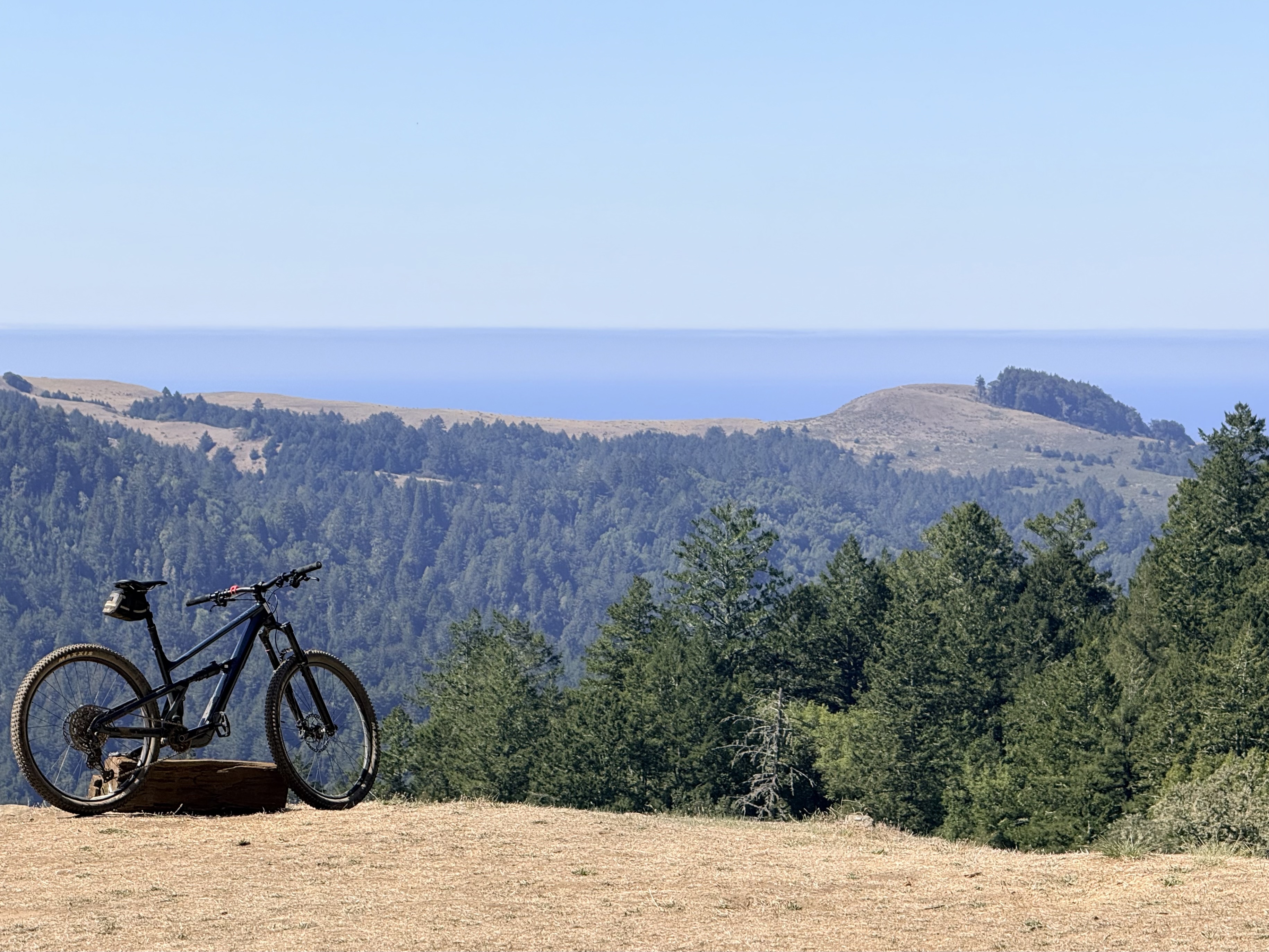 Mountain biking through redwood forest in Sonoma Coast State Park